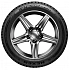 Шина Nexen Winguard WinSpike 3 215/60 R17 100T XL